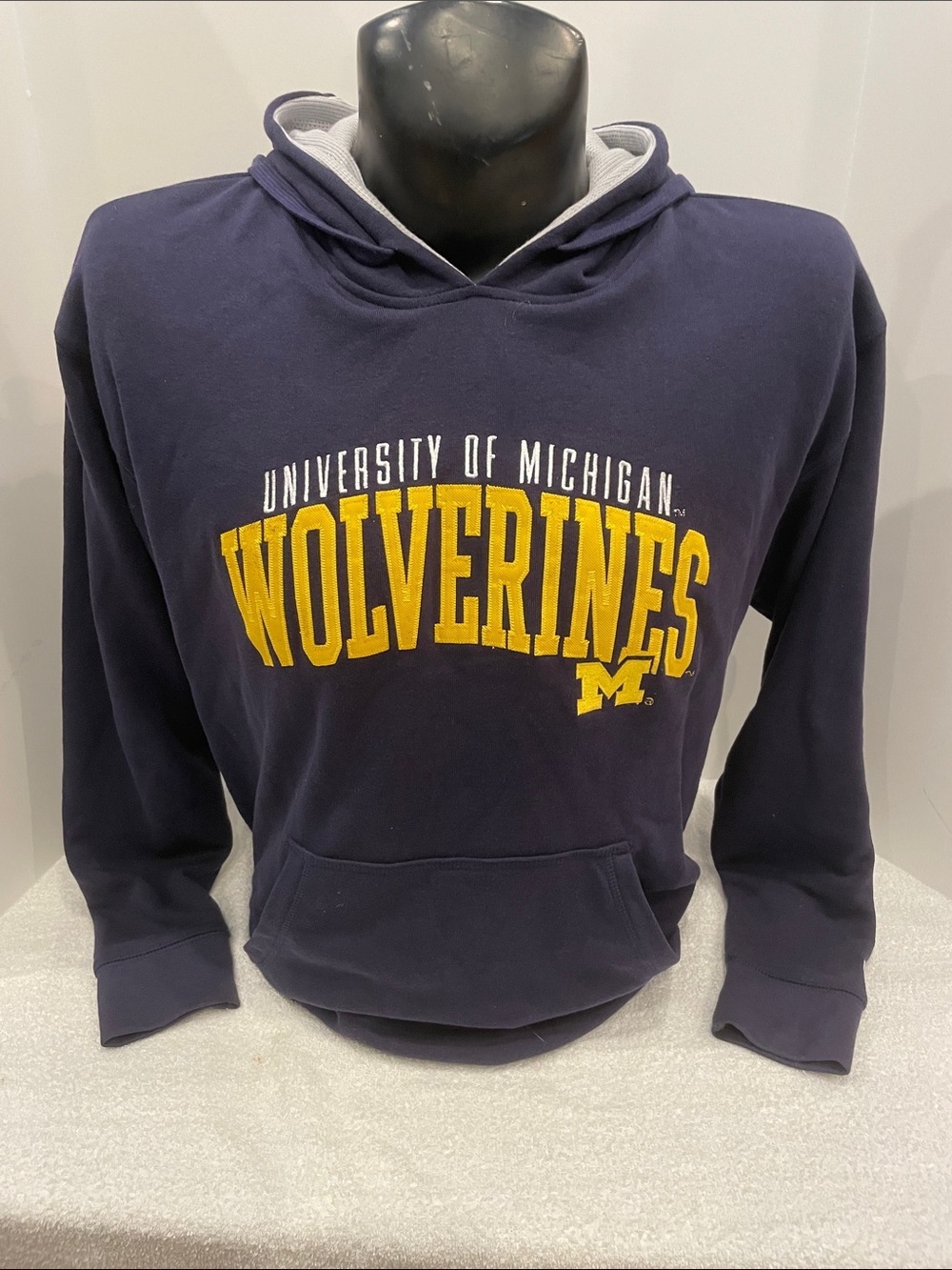 Mens Champion Navy & Yellow University of Michigan Wolverines Pullover Hoodie